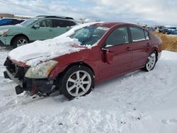 Nissan salvage cars for sale: 2008 Nissan Maxima SE