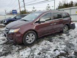 Salvage cars for sale at Hillsborough, NJ auction: 2014 Honda Odyssey EXL