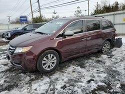 Honda Odyssey exl salvage cars for sale: 2014 Honda Odyssey EXL