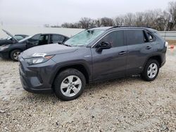 Salvage cars for sale at New Braunfels, TX auction: 2021 Toyota Rav4 LE