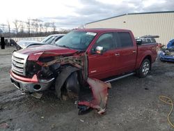 Salvage cars for sale at Spartanburg, SC auction: 2014 Ford F150 Supercrew