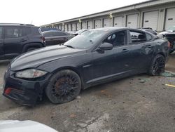 Salvage cars for sale at Louisville, KY auction: 2013 Jaguar XF