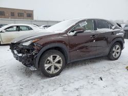 Salvage cars for sale from Copart Kansas City, KS: 2017 Lexus NX 200T Base