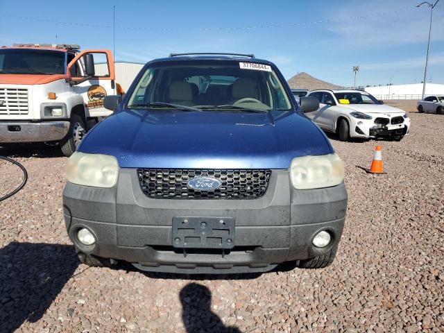 2007 Ford Escape XLT