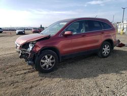Salvage cars for sale at San Diego, CA auction: 2007 Honda CR-V EXL