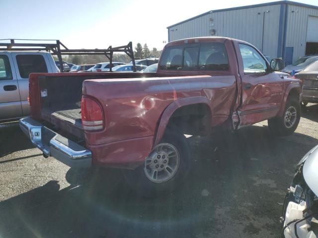 1999 Dodge Dakota