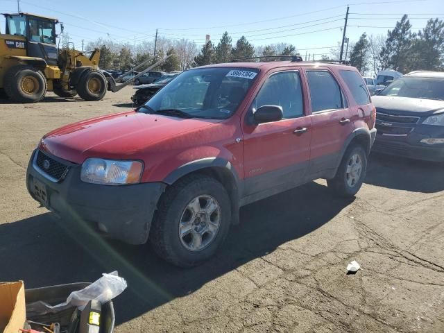 2002 Ford Escape XLT