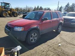 Ford Escape salvage cars for sale: 2002 Ford Escape XLT