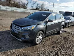 Salvage cars for sale at Bridgeton, MO auction: 2019 Ford Escape SE