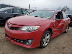 Toyota salvage cars for sale: 2014 Toyota Camry L