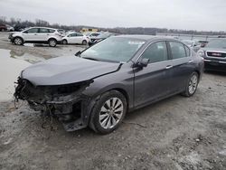 Honda Accord salvage cars for sale: 2013 Honda Accord EXL
