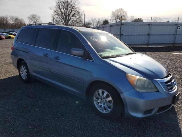 2010 Honda Odyssey EXL