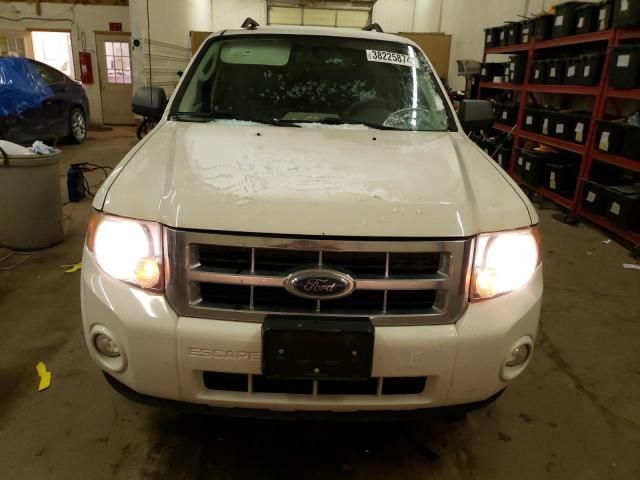 2009 Ford Escape XLT