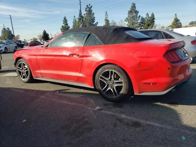 2019 Ford Mustang