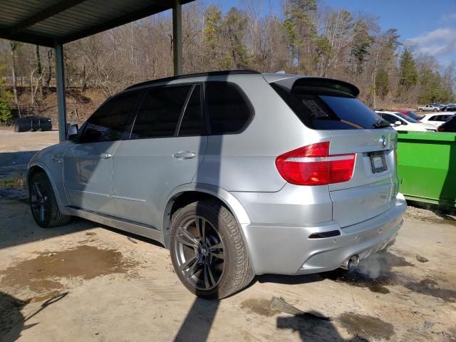 2010 BMW X5 M