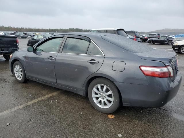 2009 Toyota Camry Hybrid