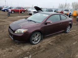 Vehiculos salvage en venta de Copart Greenwood, NE: 2006 Scion 2006 Toyota Scion TC