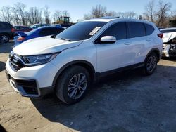 Salvage cars for sale at Baltimore, MD auction: 2022 Honda CR-V EX