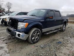 Salvage cars for sale from Copart Cicero, IN: 2013 Ford F150 Supercrew