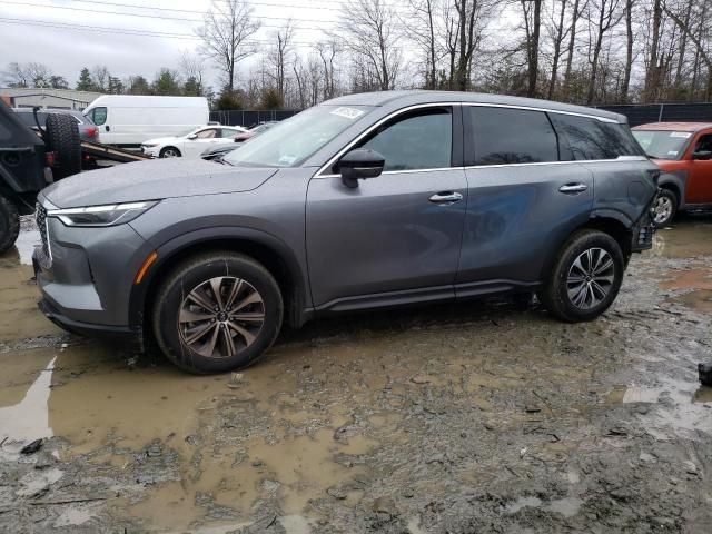 2023 Infiniti QX60 Pure