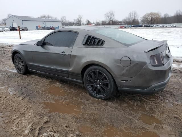 2010 Ford Mustang