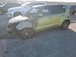 Salvage cars for sale at Harleyville, SC auction: 2016 KIA Soul