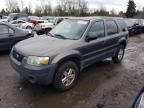 2005 Ford Escape XLS