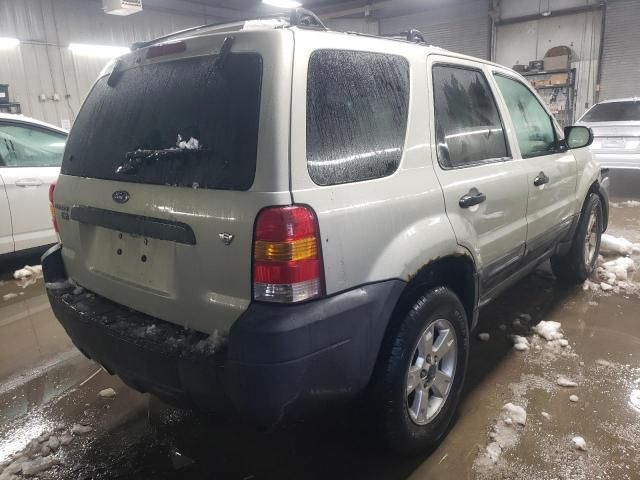 2006 Ford Escape XLT