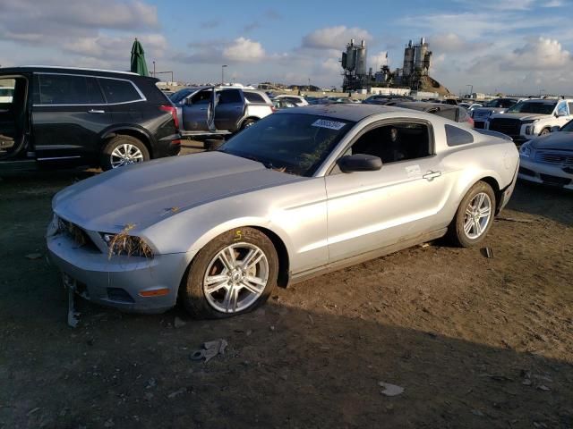 2010 Ford Mustang