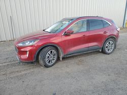 Salvage cars for sale at Helena, MT auction: 2020 Ford Escape SEL