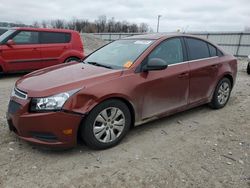 Salvage cars for sale at Lawrenceburg, KY auction: 2013 Chevrolet Cruze LS