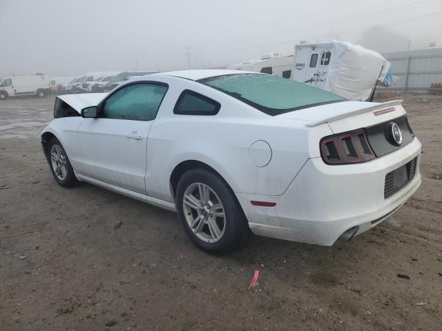 2014 Ford Mustang