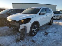 Vehiculos salvage en venta de Copart Rocky View County, AB: 2016 KIA Sorento EX