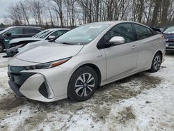 Toyota Prius salvage cars for sale: 2017 Toyota Prius Prime