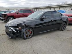 2017 Alfa Romeo Giulia en venta en Louisville, KY