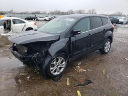 Salvage cars for sale from Copart Kansas City, KS: 2013 Ford Escape SEL
