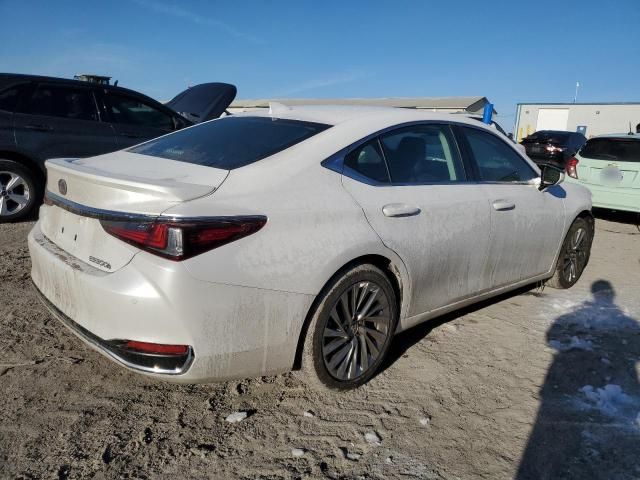 2023 Lexus ES 300H Base