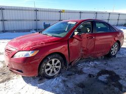 Toyota salvage cars for sale: 2007 Toyota Camry CE