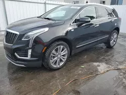 Salvage cars for sale from Copart Opa Locka, FL: 2024 Cadillac XT5 Premium Luxury