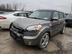 Salvage cars for sale from Copart Leroy, NY: 2010 KIA Soul +