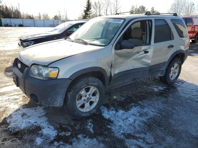 2005 Ford Escape XLT