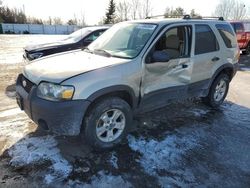 Ford Vehiculos salvage en venta: 2005 Ford Escape XLT