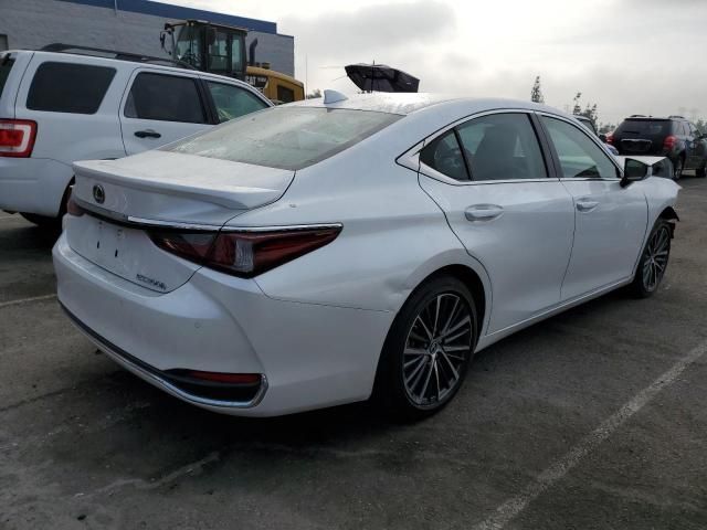 2023 Lexus ES 300H Base