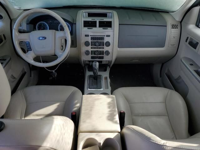 2008 Ford Escape XLT