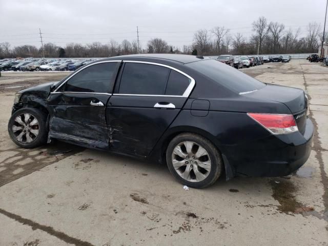 2010 Honda Accord EXL