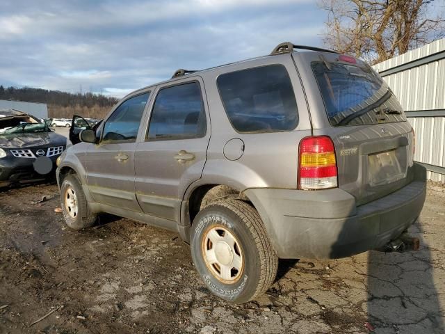 2007 Ford Escape XLS