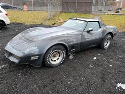 Muscle Cars for sale at auction: 1981 Chevrolet Corvette
