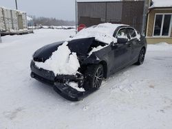 Salvage cars for sale from Copart Montreal Est, QC: 2019 BMW 330XI