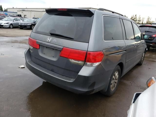 2010 Honda Odyssey EXL