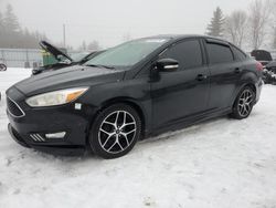 2015 Ford Focus SE en venta en Bowmanville, ON